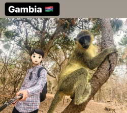 Gambia