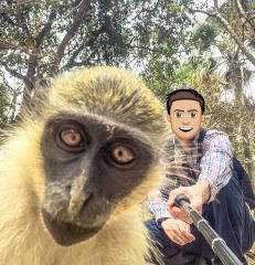 Monkey Park - Bijilo Forest Park, Banjul